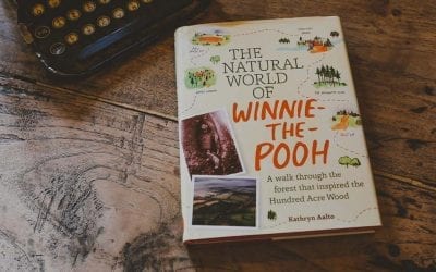 Winnie-the-Pooh at 100: Why This Bear Still Matters