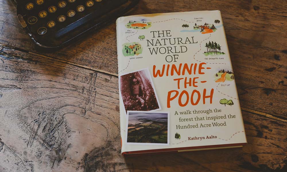 Winnie-the-Pooh at 100: Why This Bear Still Matters