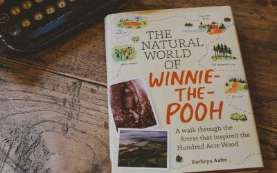 Winnie-the-Pooh at 100: In Which Kathryn Travels to Cambridge
