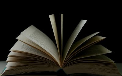 Narrative Nonfiction Mentoring Path: Which to Choose?