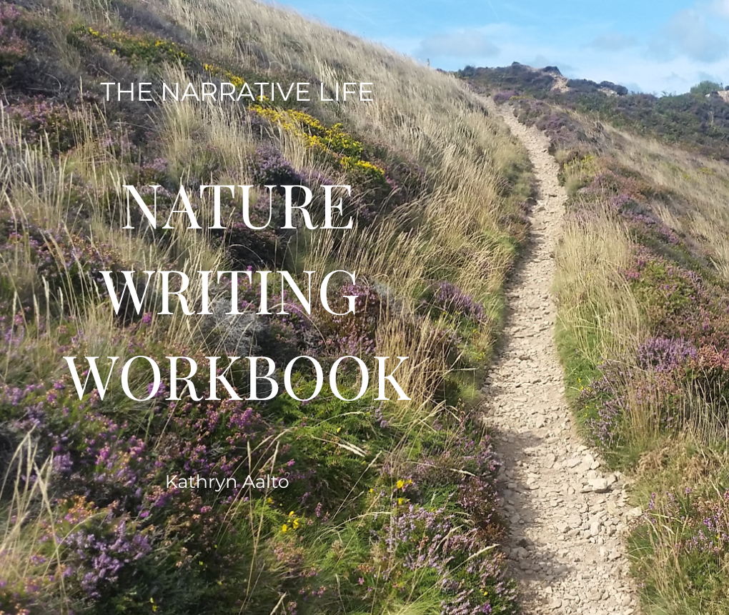 A narrow trail winding through a heathland with the title Nature Writing Workbook overlaid.